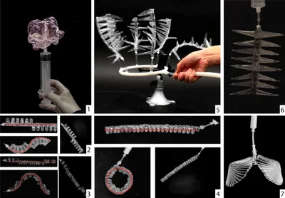 Figure 29 Examples of Assemblies. 1) Rose; 2) 3) 4) Linear elements that bend with different angles through different 
distributions of finger shapes; 5) Assembly with a 3D-printed holder; 6) Assembly that displays dual furling motion; 7) Assembly 
that emulates the opening and closing behavior of a shell.